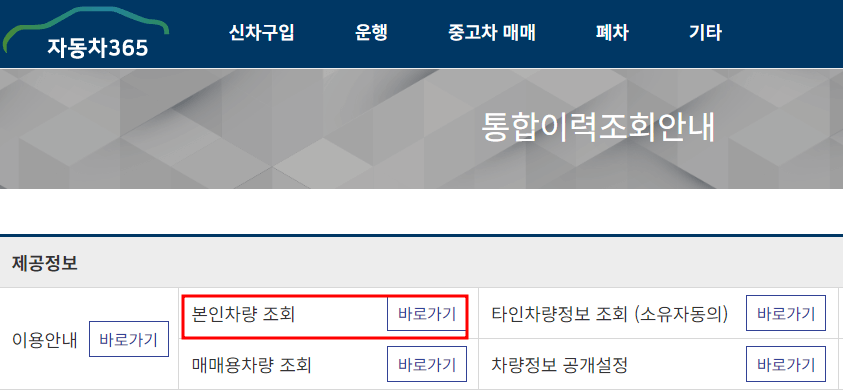 자동차 365