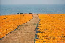 겨울여행 떠나고 싶은 곳 베스트 4. 제주도