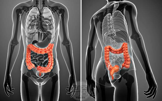 장독소 증상 장독소 빼는법