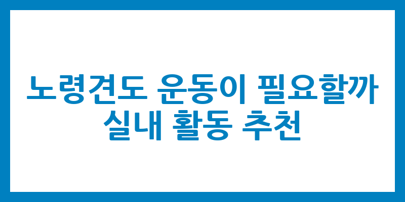 노령견도 운동이 필요할까? 실내 활동 추천