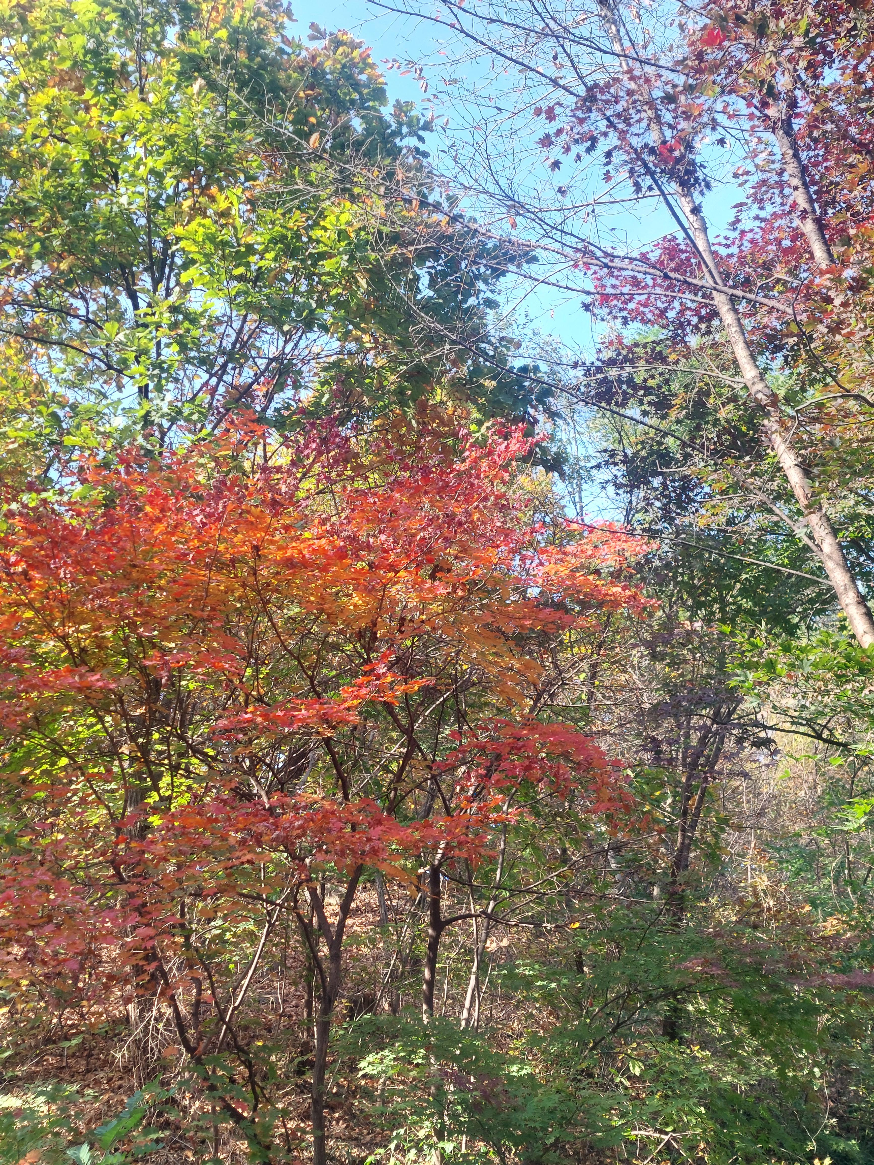남산