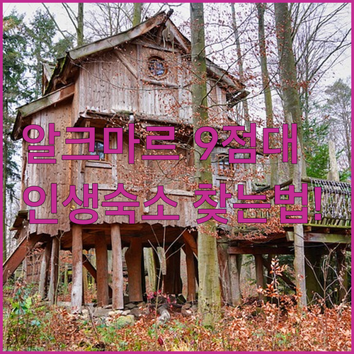 네덜란드 알크마르 여행에서 평점 9점..