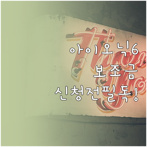 2026년 아이오닉6 전기차 보조금 ..