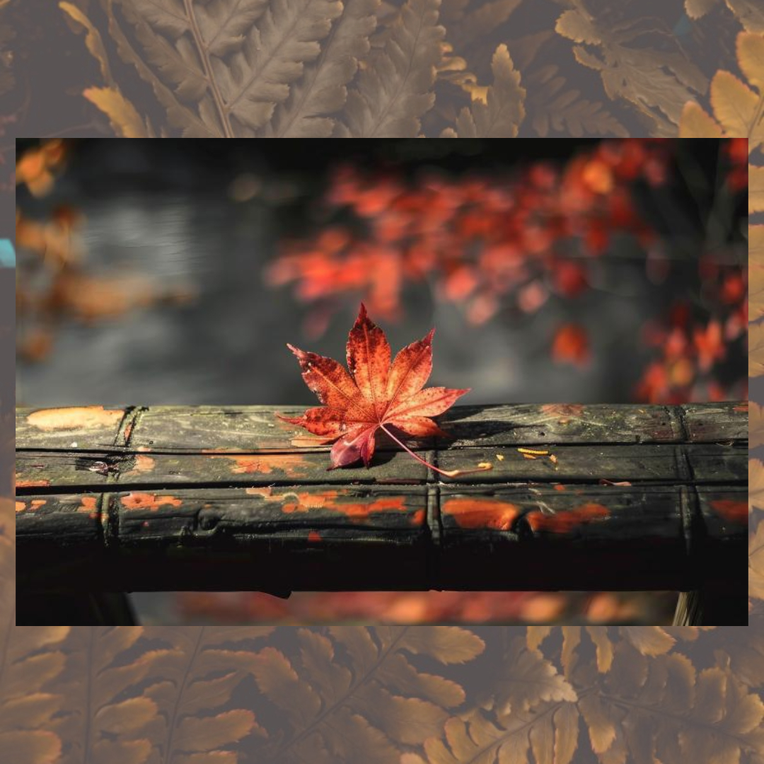 여주와 관련된 사진입니다.