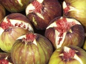 무화과 먹는 방법과 보관법