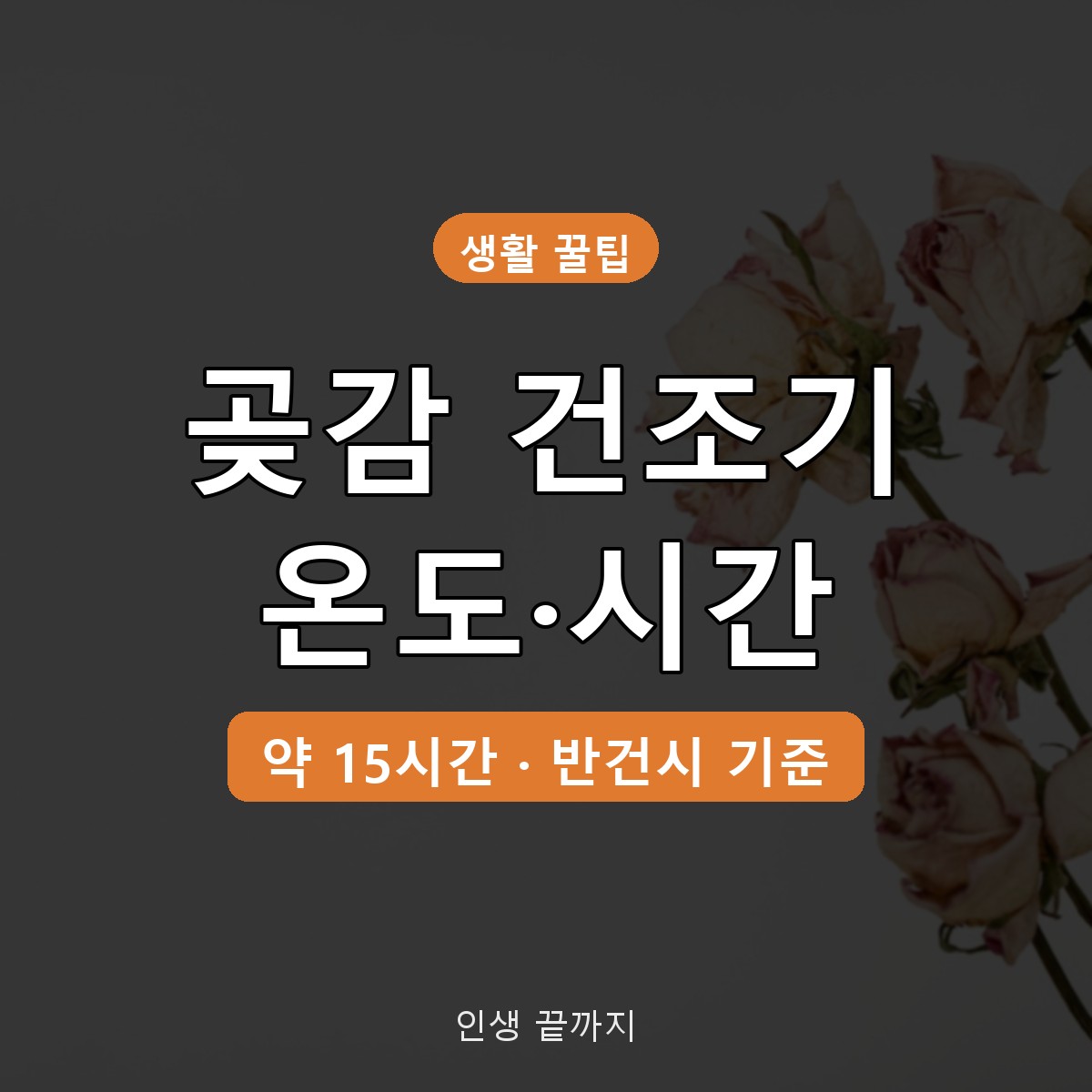 곶감 건조기 온도 시간, 식품건조기로 반건시 만들 때 확인할 5가지