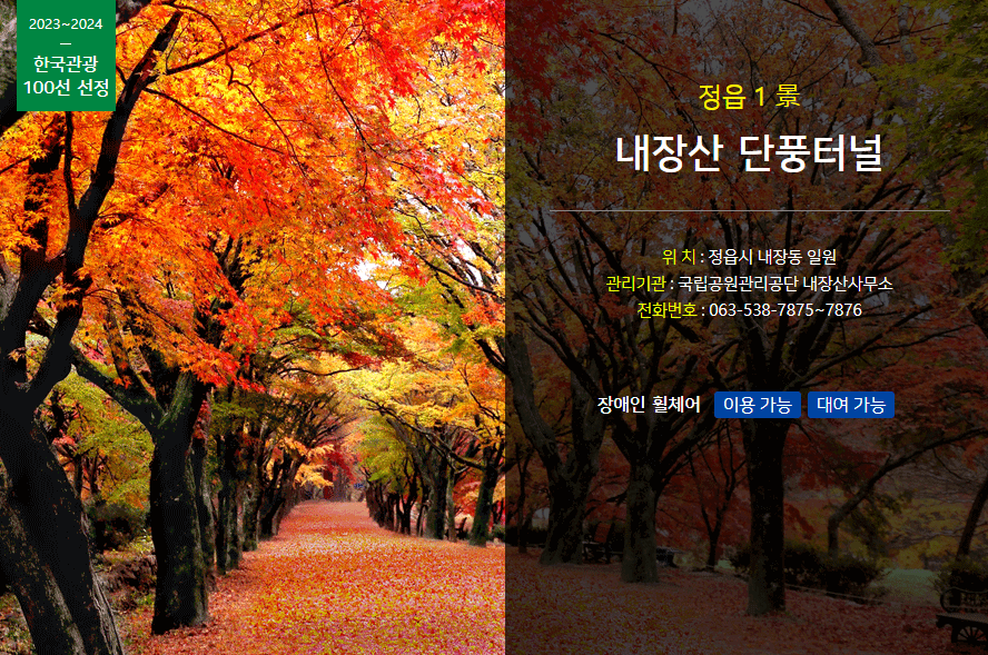 내장산단풍터널