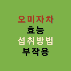 오미자차-효능-섭취방법-부작용-썸네일