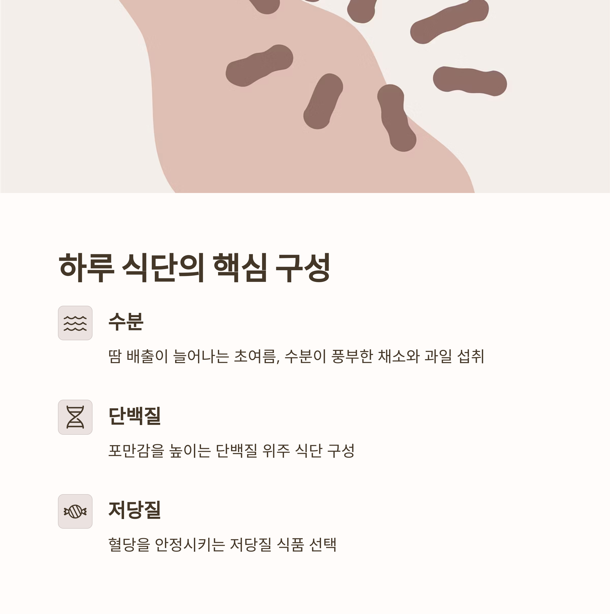 하루 식단의 핵심은 '수분+단백질+저당질' 구성