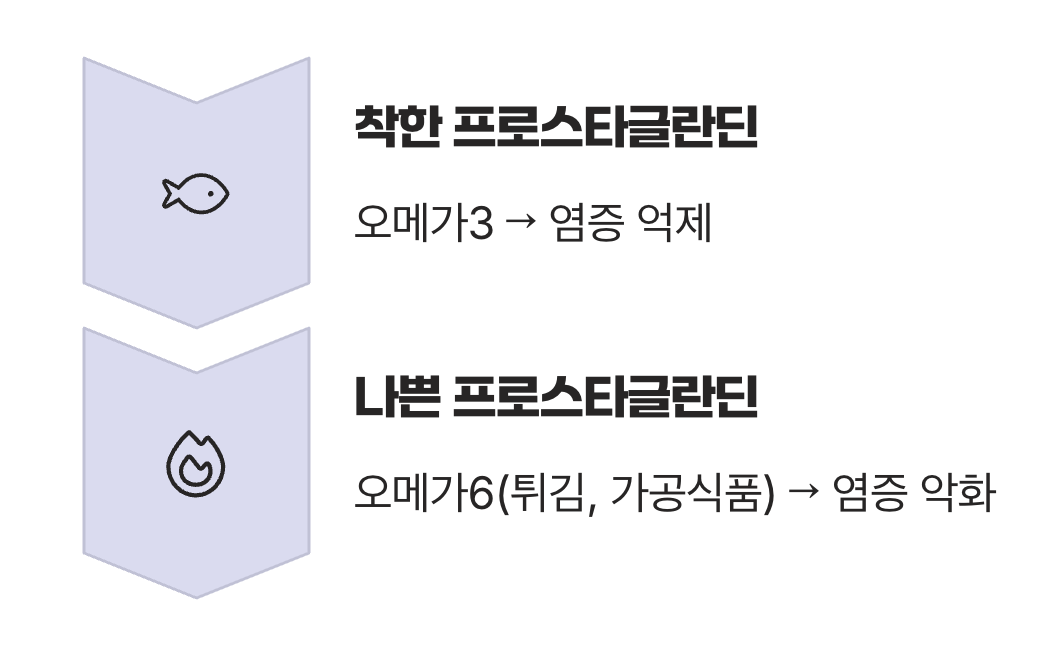 '염증 스위치'를 끄는, 오메가3의 역할