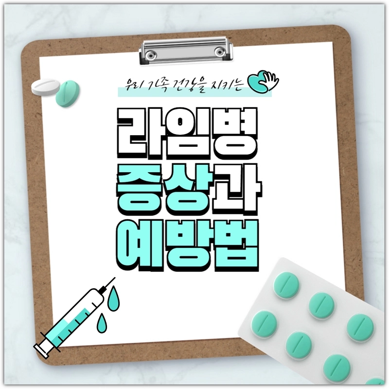 라임병-원인-증상-예방-치료-방법
