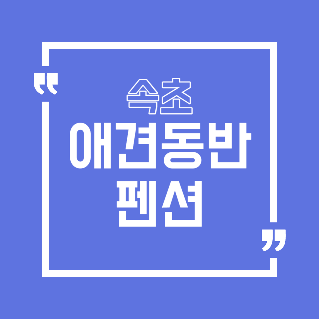 속초 애견동반