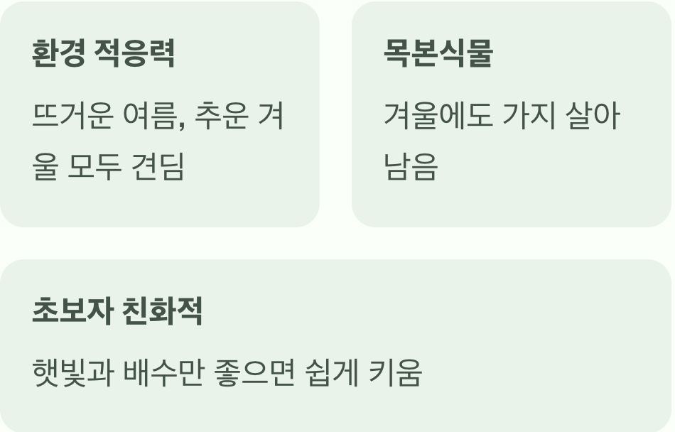 놀라울 만큼 강인한 생명력