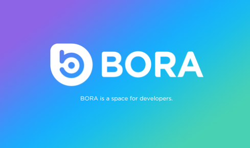 주의가 필요해진 보라코인 (Bora)