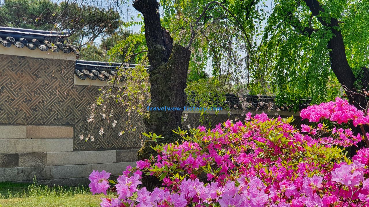 창덕궁 경내 전경