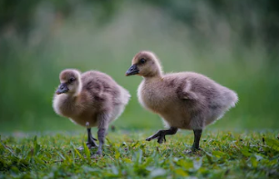 지칠때 보면 좋은글 소개