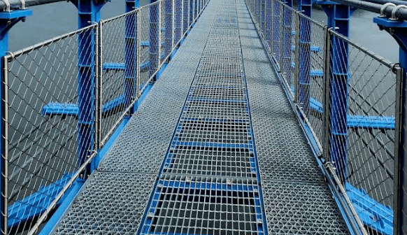 진천 이팝나무길 초평호 미르309 출렁다리