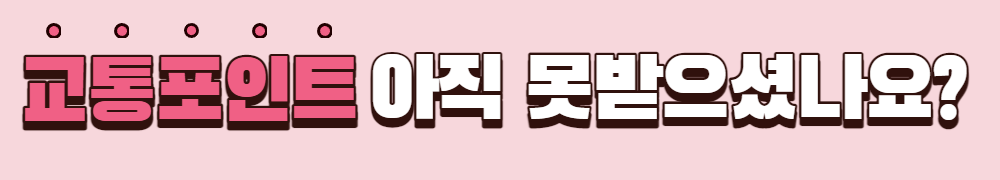 서울시임산부지원사업