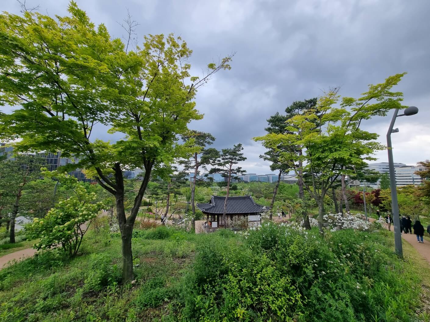 보라매공원 2025 서울 국제정원박람회 일정 가는 길
