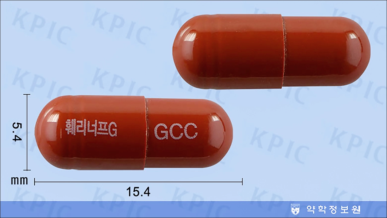 훼리너프지캡슐 효능 효과 부작용 임산부 수유기 철결핍성 빈혈