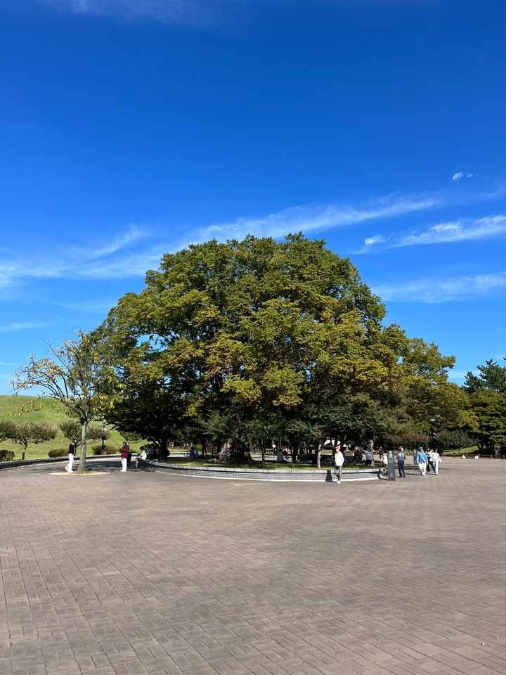 대릉원