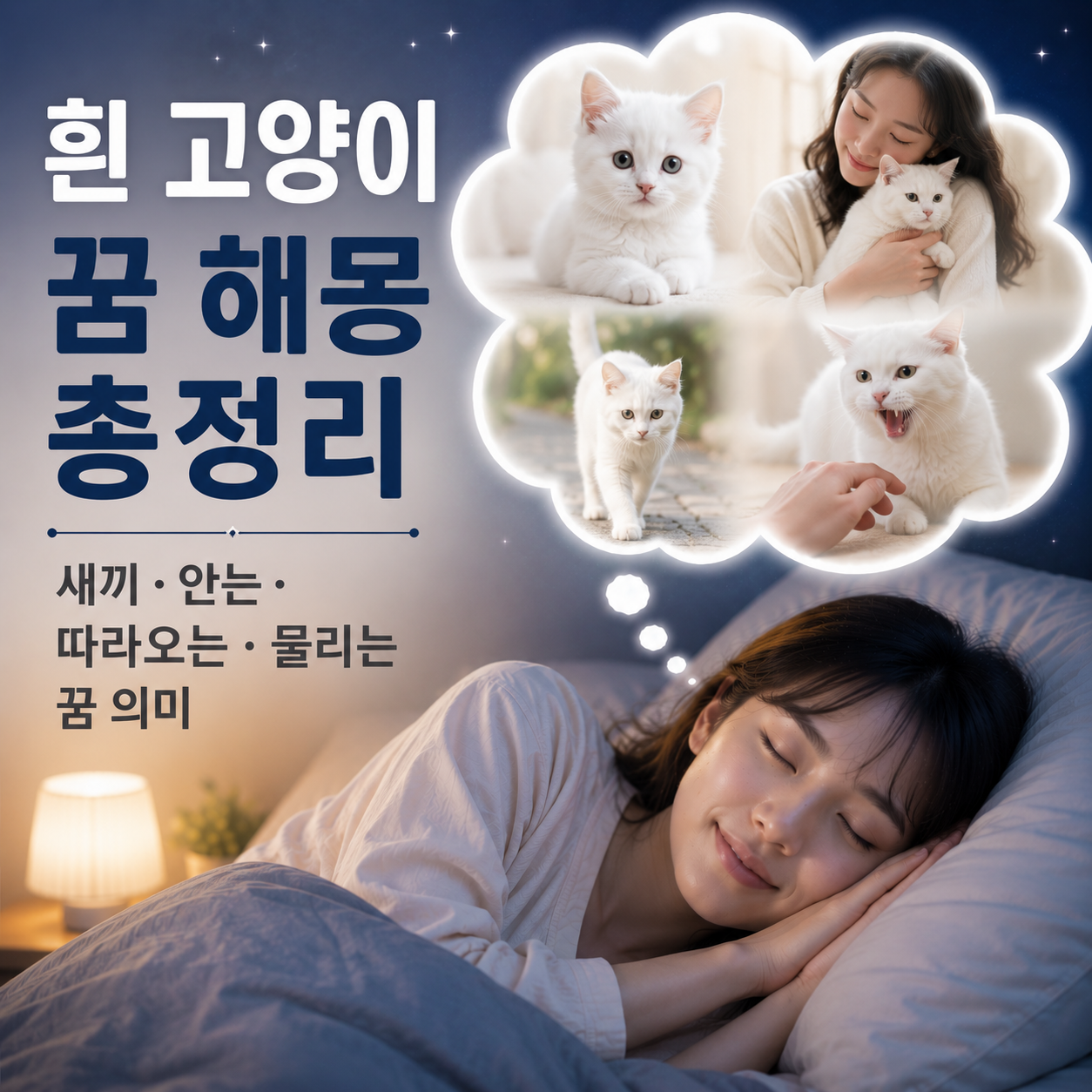 흰 고양이 꿈
