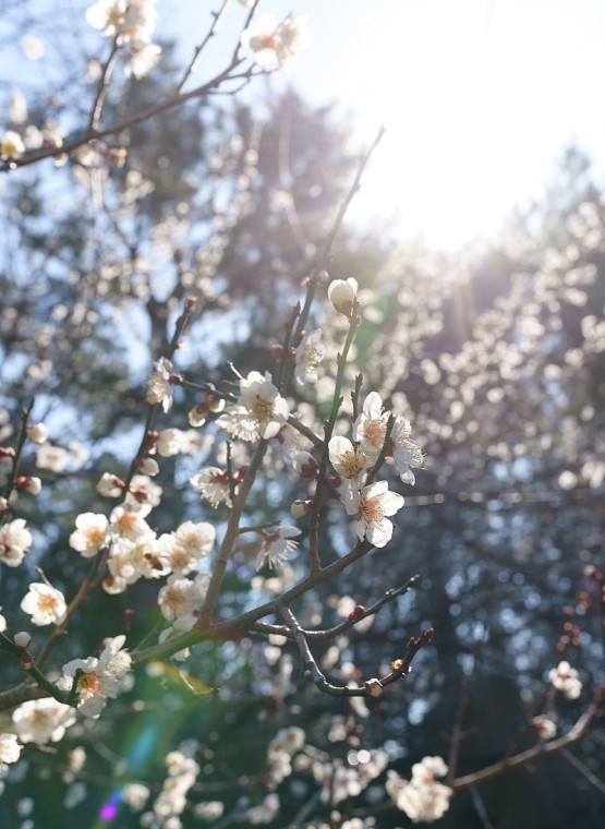 제주도 가볼 만한 곳 10곳