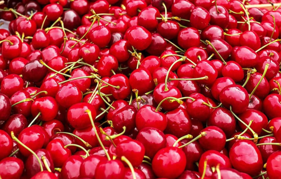 타트체리 부작용 효능