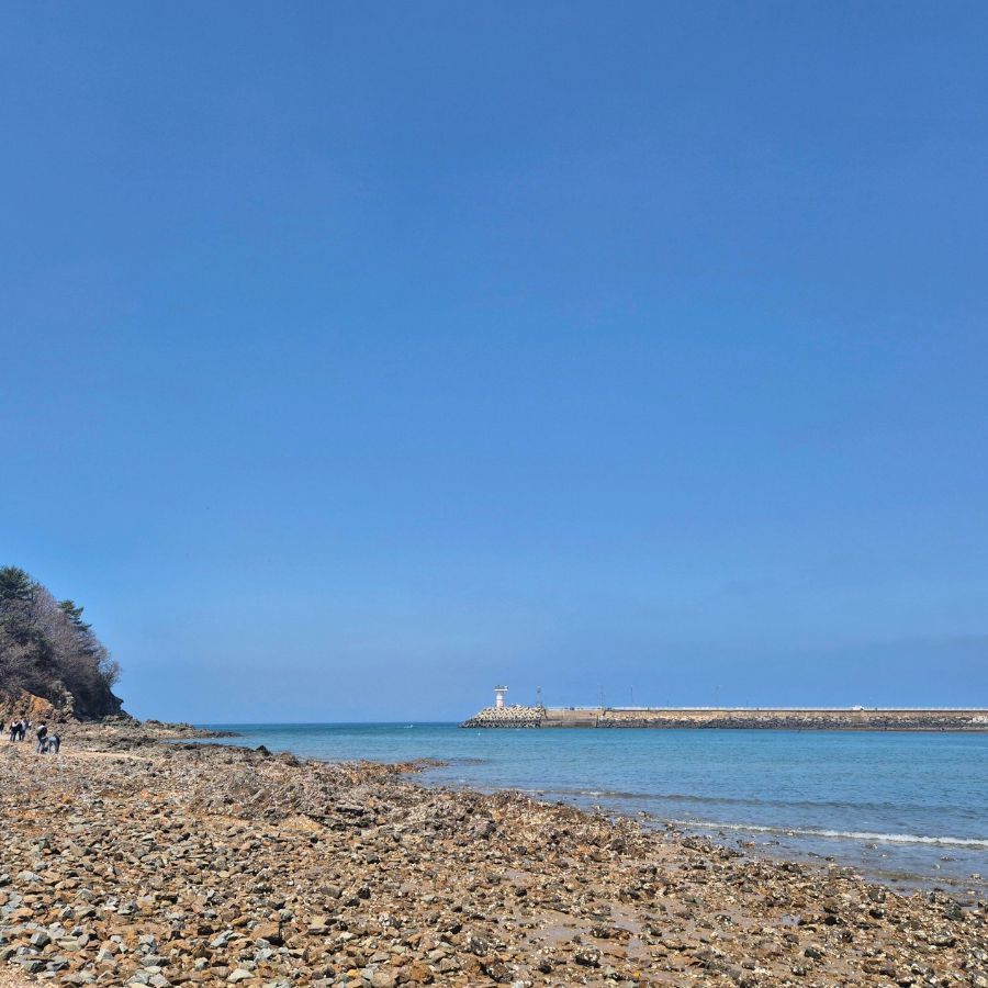 꽃지해수욕장 &amp; 안면도자연휴양림