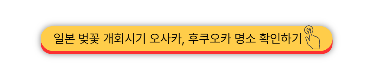 2025 - 제주 벚꽃 개화시기