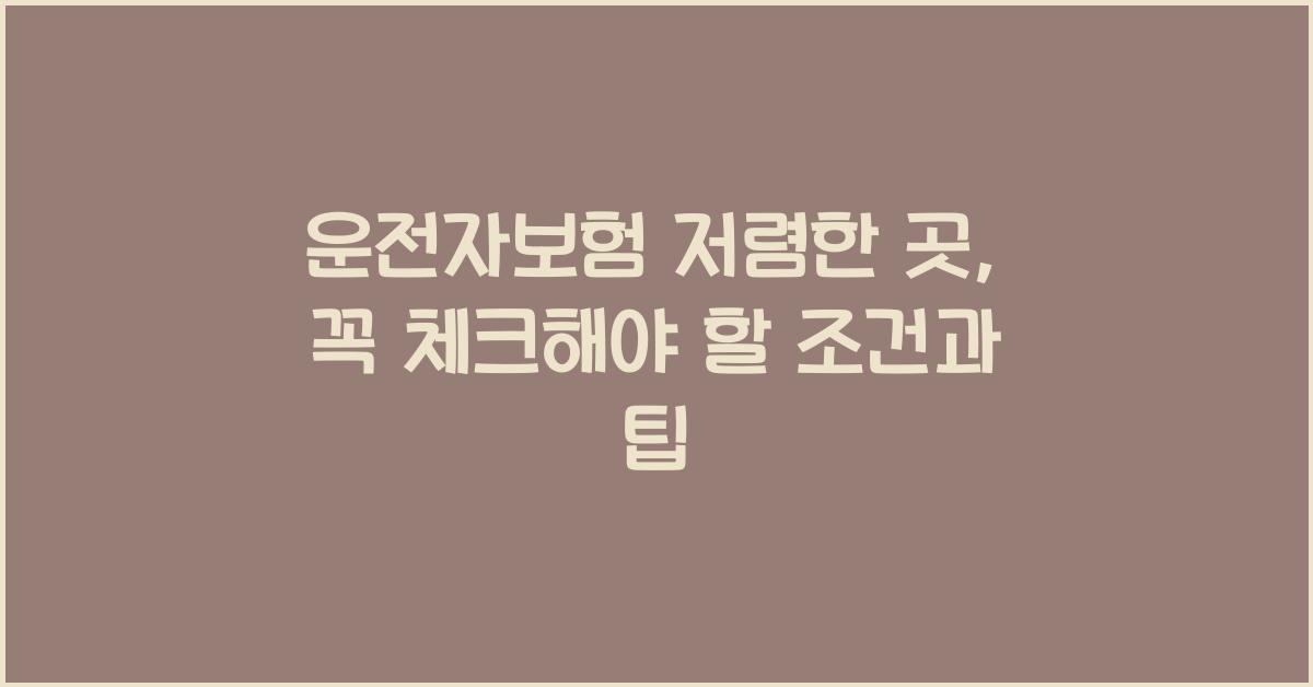 운전자보험 저렴한 곳