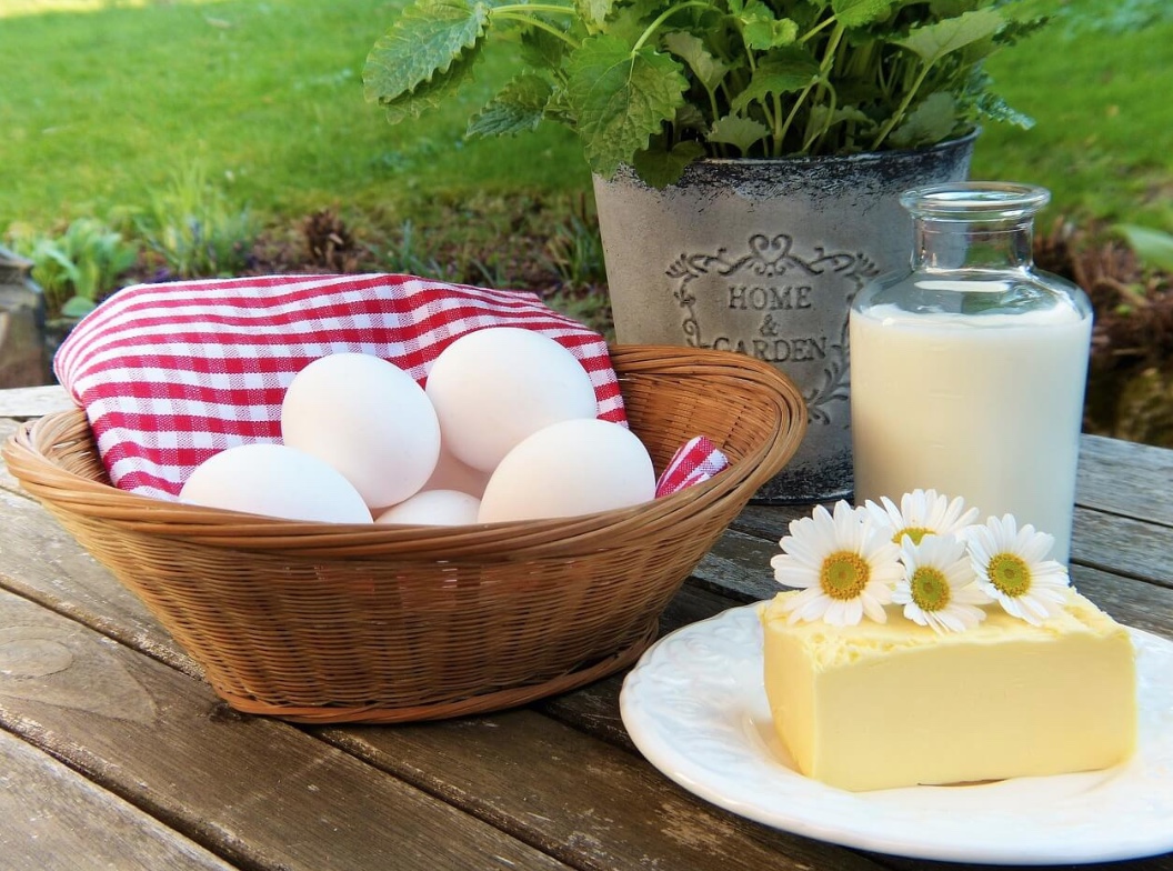 칼슘·단백질 섭취