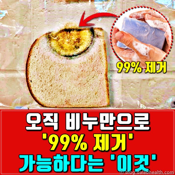 코로나 예방 비누 효과