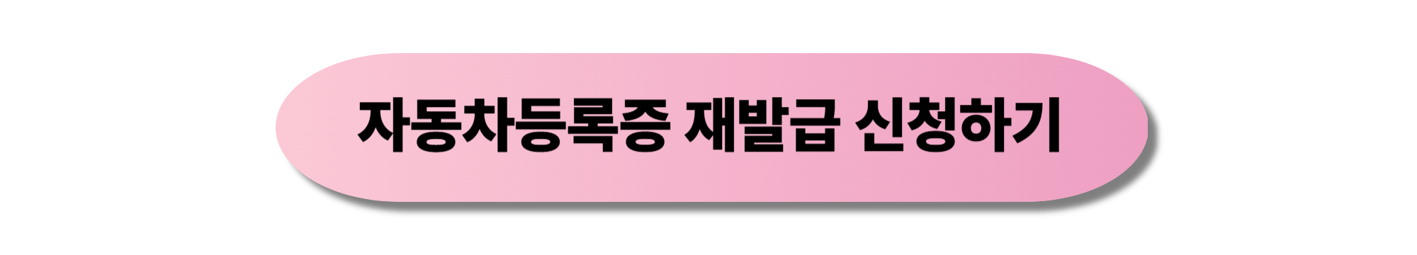 자동차등록증 재발급