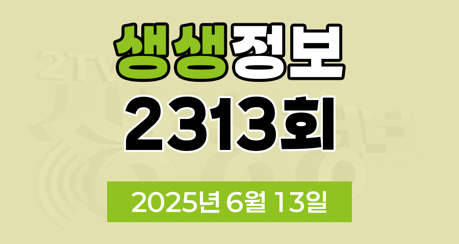 KBS 2TV 생생정보 2313회 2025년 6월 13일 맛집 식당 업체 촬영장소 촬영지 정보, 무작정 간다 SNS 진짜 가짜, 장사의 신, 음식 X-파일, 미스터 Lee의 사진 한 컷 대한민국, 아끼니까 청춘이다