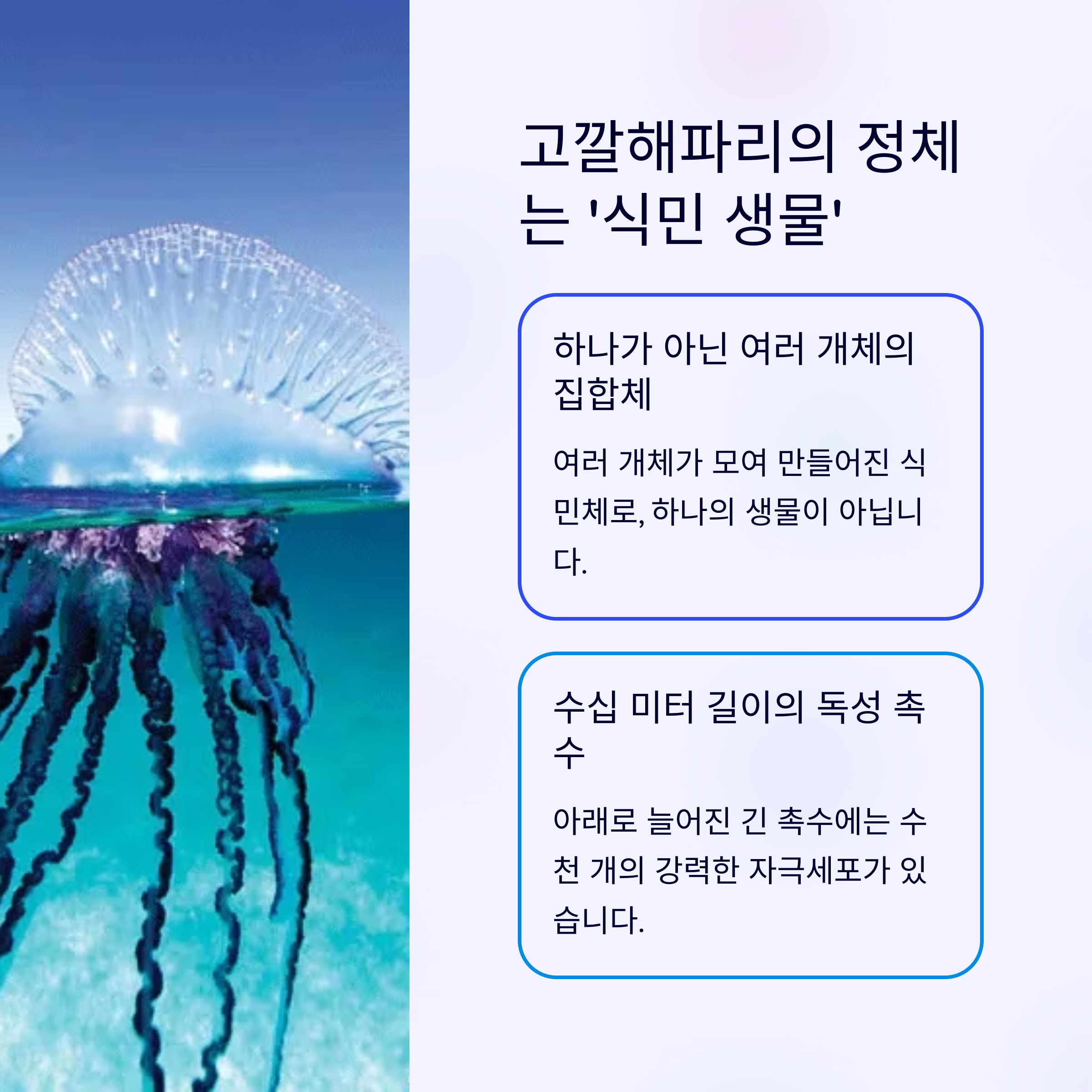 식민생물