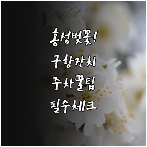 2026 홍성 벚꽃 구항 벚꽃잔치 일..