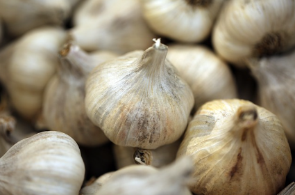 천연 조미료로 시작하는 건강한 요리