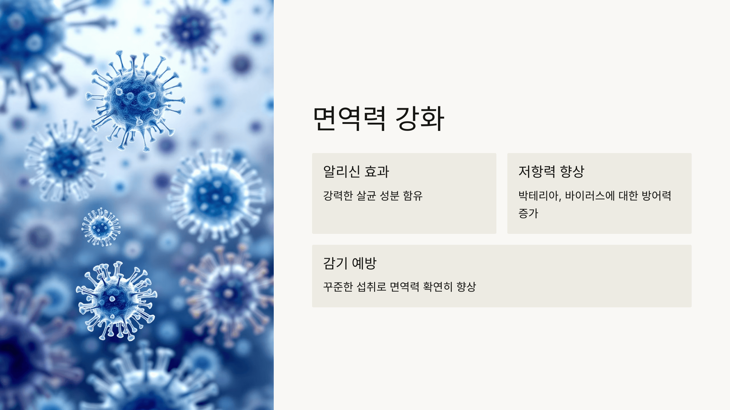 마늘 사진입니다.