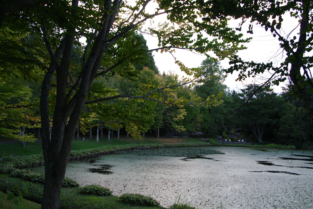 Katsukatsu