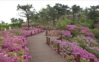 걷기좋은 명품 숲길 30선 숨겨진 코스_26