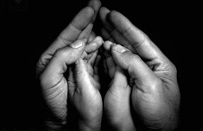 전업자녀 뜻 신조어