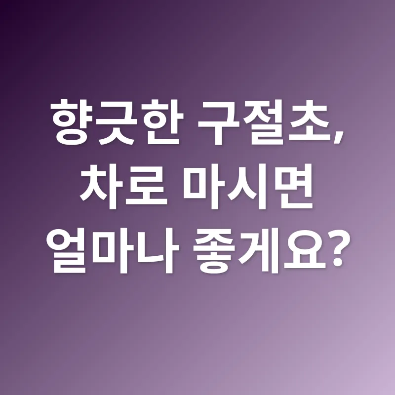구절초_2
