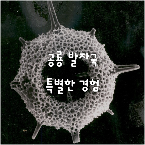 공룡 발자국 화석 찾아 떠나는 특별한
