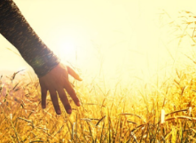 혈당 스파이크 증상 혈당 스파이크 막으려면?