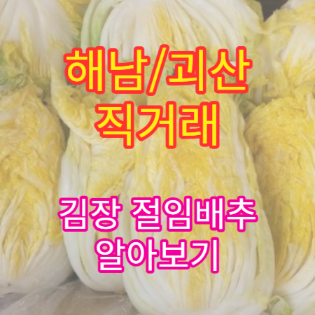 해남-절임배추