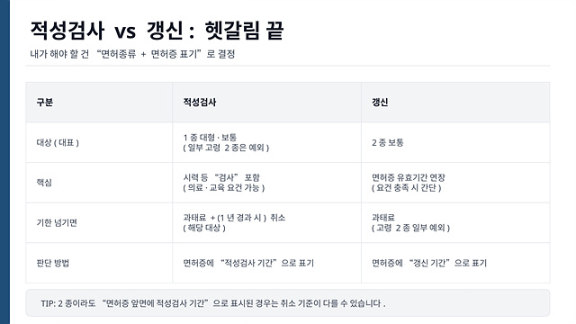 운전면허 적성검사 갱신, 과태료, 면허취소-핵심정리