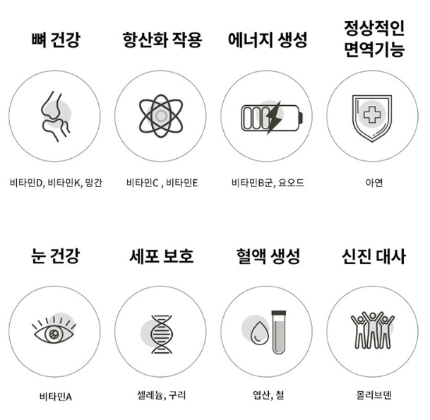 종합 비타민 추천