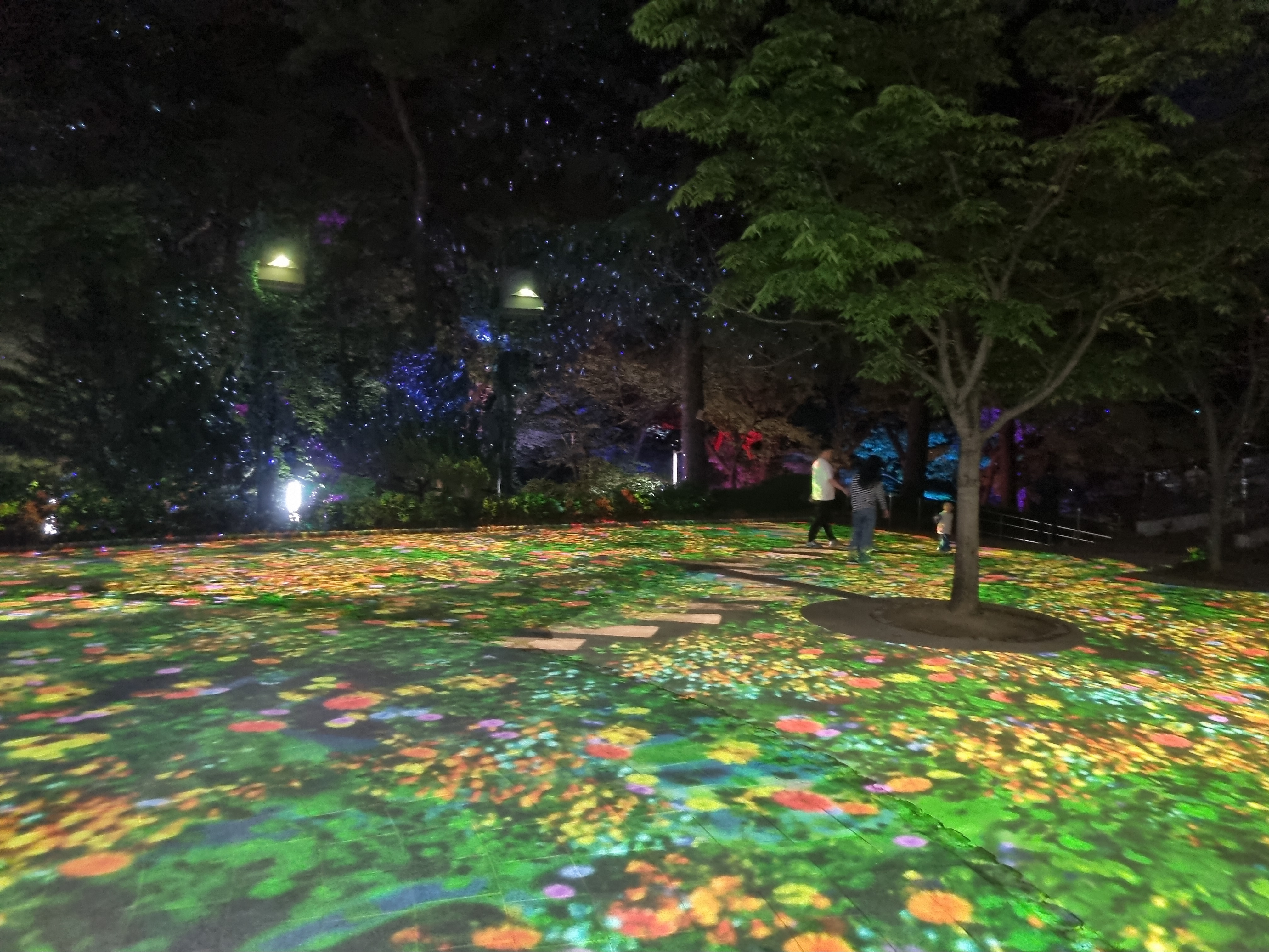 사직공원 빛의숲