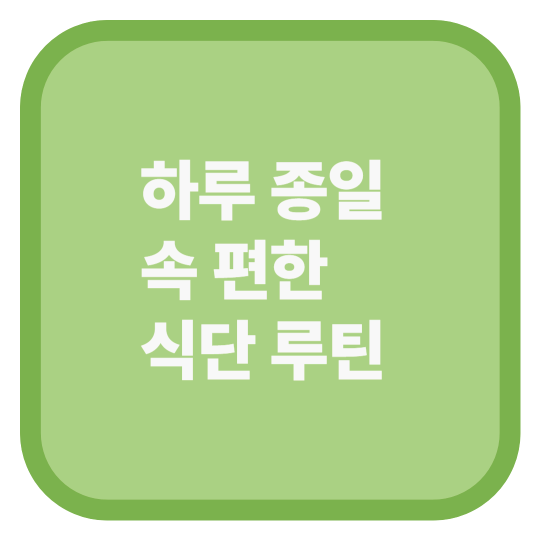 하루 종일 속 편한 식단 루틴
